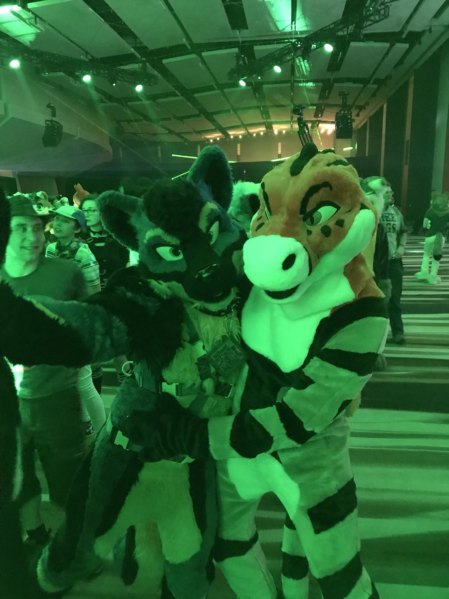GatorRottie's tweet photo. To much fun at Fwa with good buds @toofycakes @JonasCorgi @SilentWolf59 https://t.co/WTRfPJ8wJc