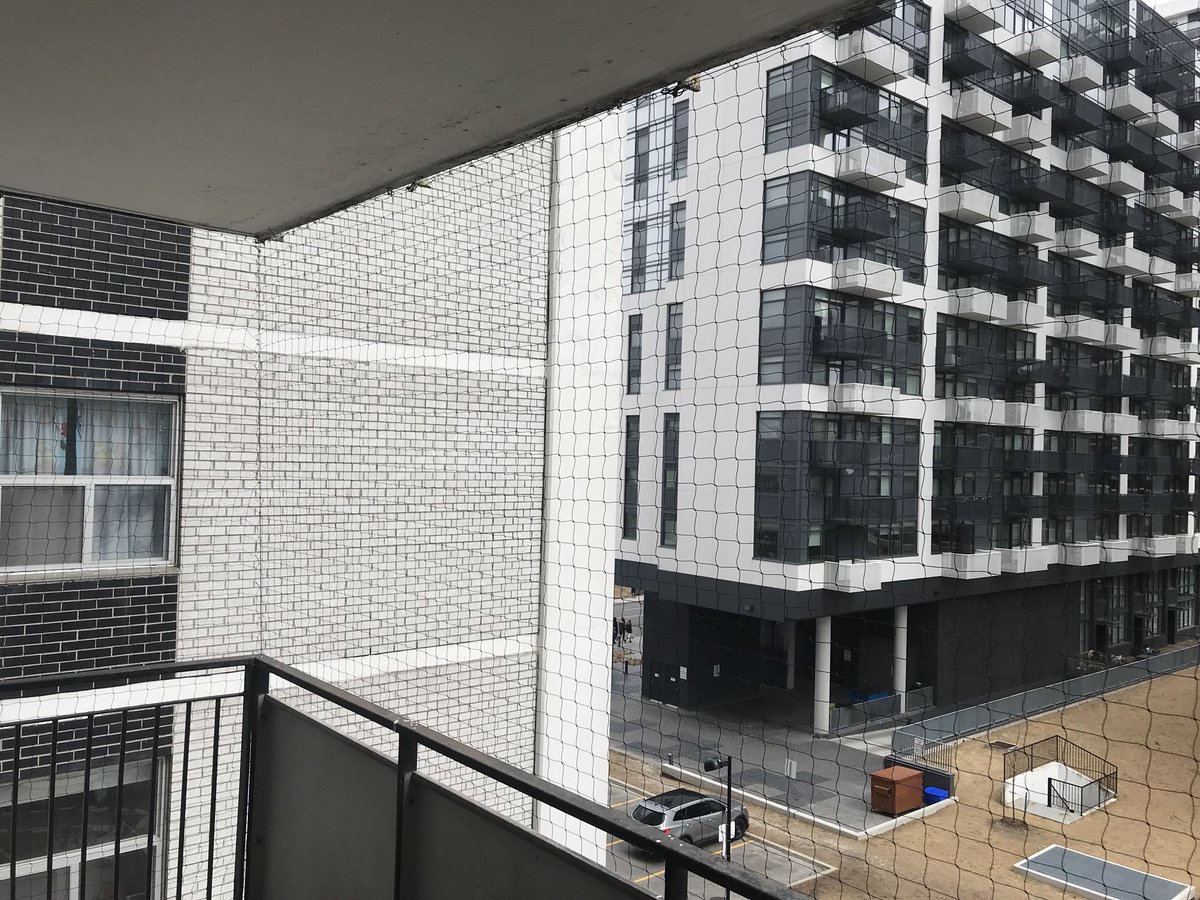 PigeonTomTO's tweet photo. 2β StrongNet, no more pigeon droppings. π #pigeontom #balconynetting #pigeoncontrol #pigeonnetting #birdcontrol #birdspikes #toronto #richmondhill #newmarket #aurora #scarborough #whitby #oshawa #brampton #mississauga #oakville #etobicoke #pickering #northyork #balcony-cleaning https://t.co/PzRrR7ASRE