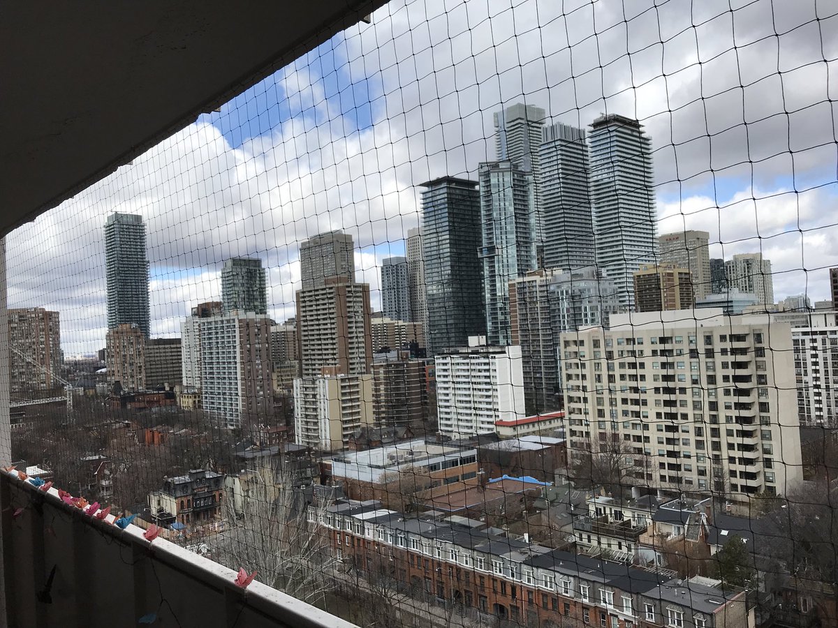 PigeonTomTO's tweet photo. 2β StrongNet, no more pigeon droppings. π #pigeontom #balconynetting #pigeoncontrol #pigeonnetting #birdcontrol #birdspikes #toronto #richmondhill #newmarket #aurora #scarborough #whitby #oshawa #brampton #mississauga #oakville #etobicoke #pickering #northyork #balcony-cleaning https://t.co/PzRrR7ASRE