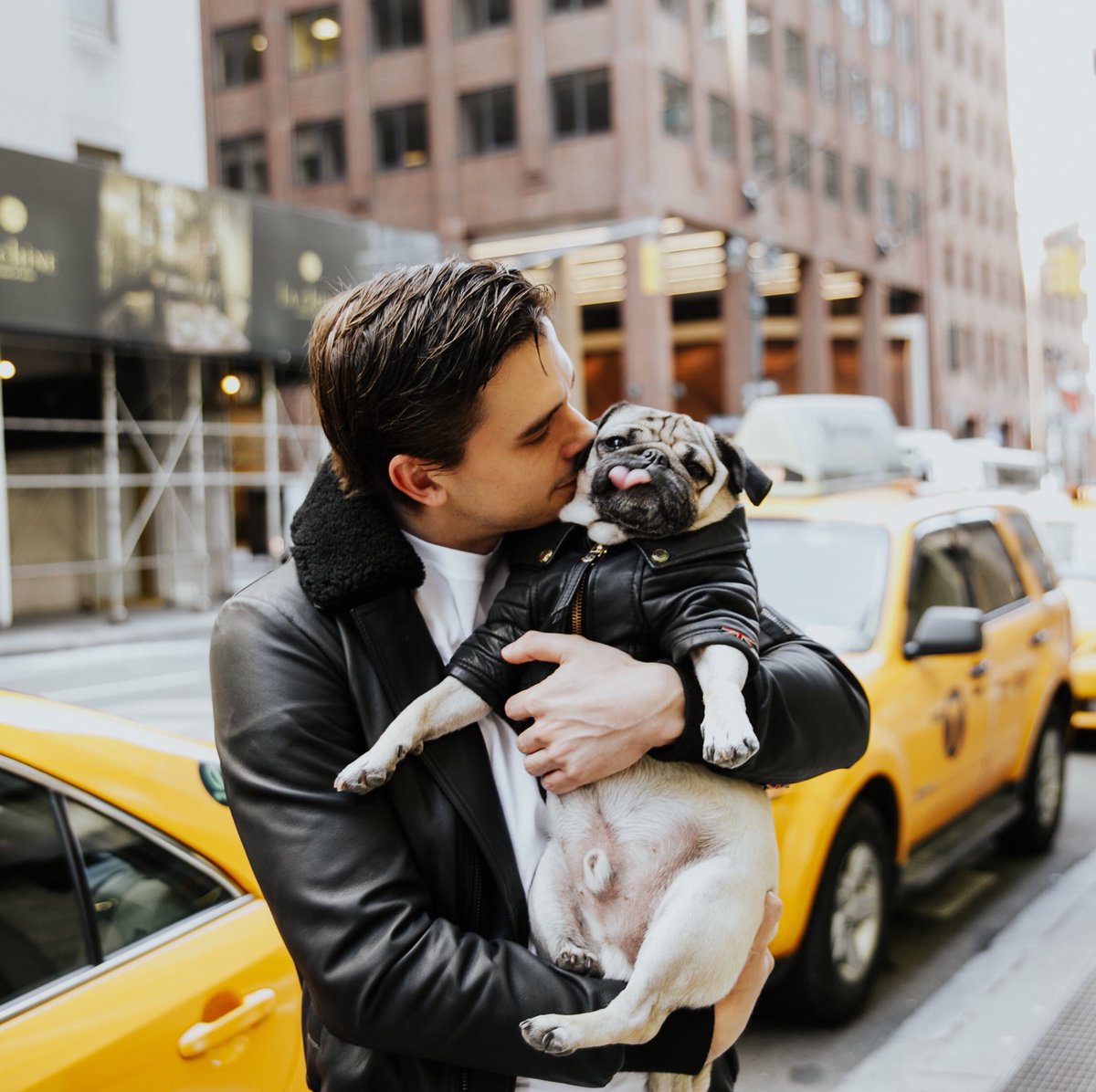 itsdougthepug's tweet photo. When all of ur Queer Eye dreams come true @antoni https://t.co/aSHFue8x7v