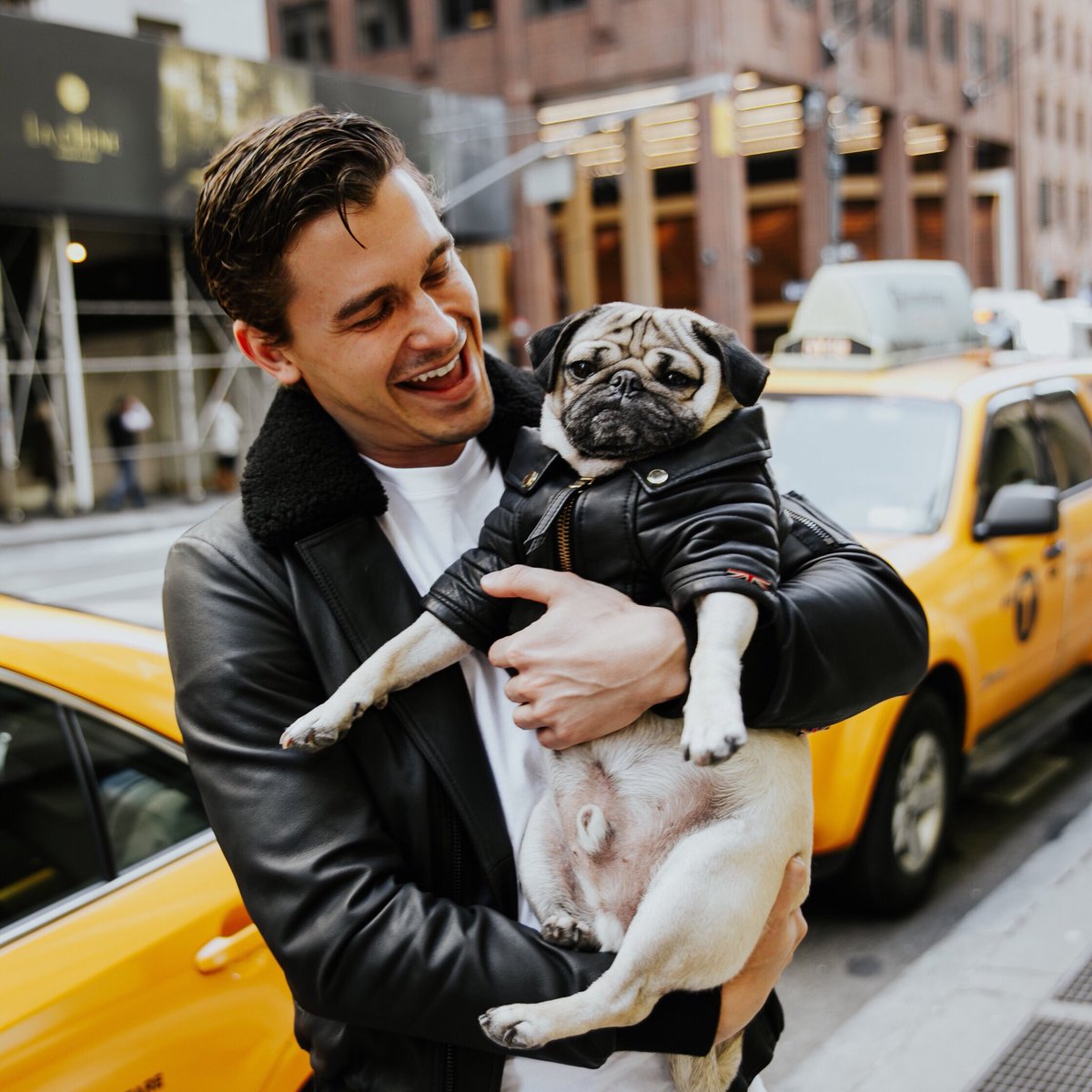 itsdougthepug's tweet photo. When all of ur Queer Eye dreams come true @antoni https://t.co/aSHFue8x7v