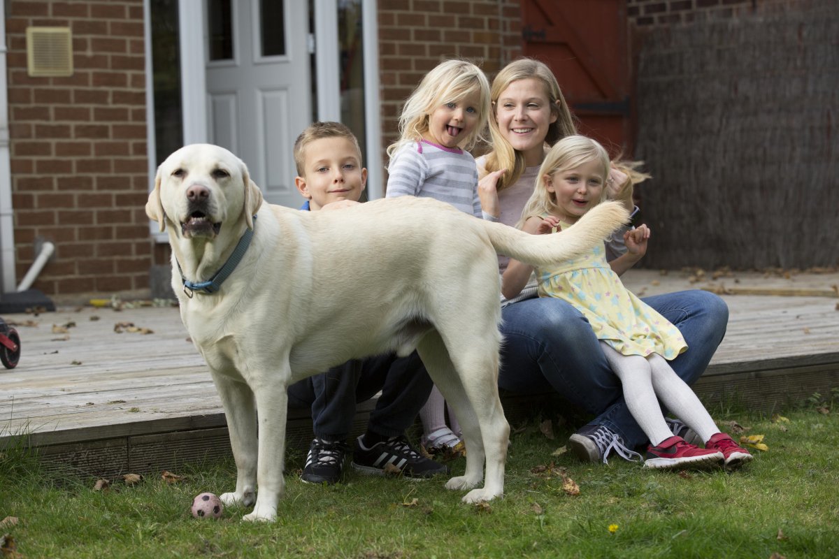 “At the workshop, I couldn’t believe it when the instructors went through the ways a pet dog could help our son.  I just sat there and cried." Liz, whose son has autism. Find out about availability on our Family Dog workshops. buff.ly/2deWWOJ