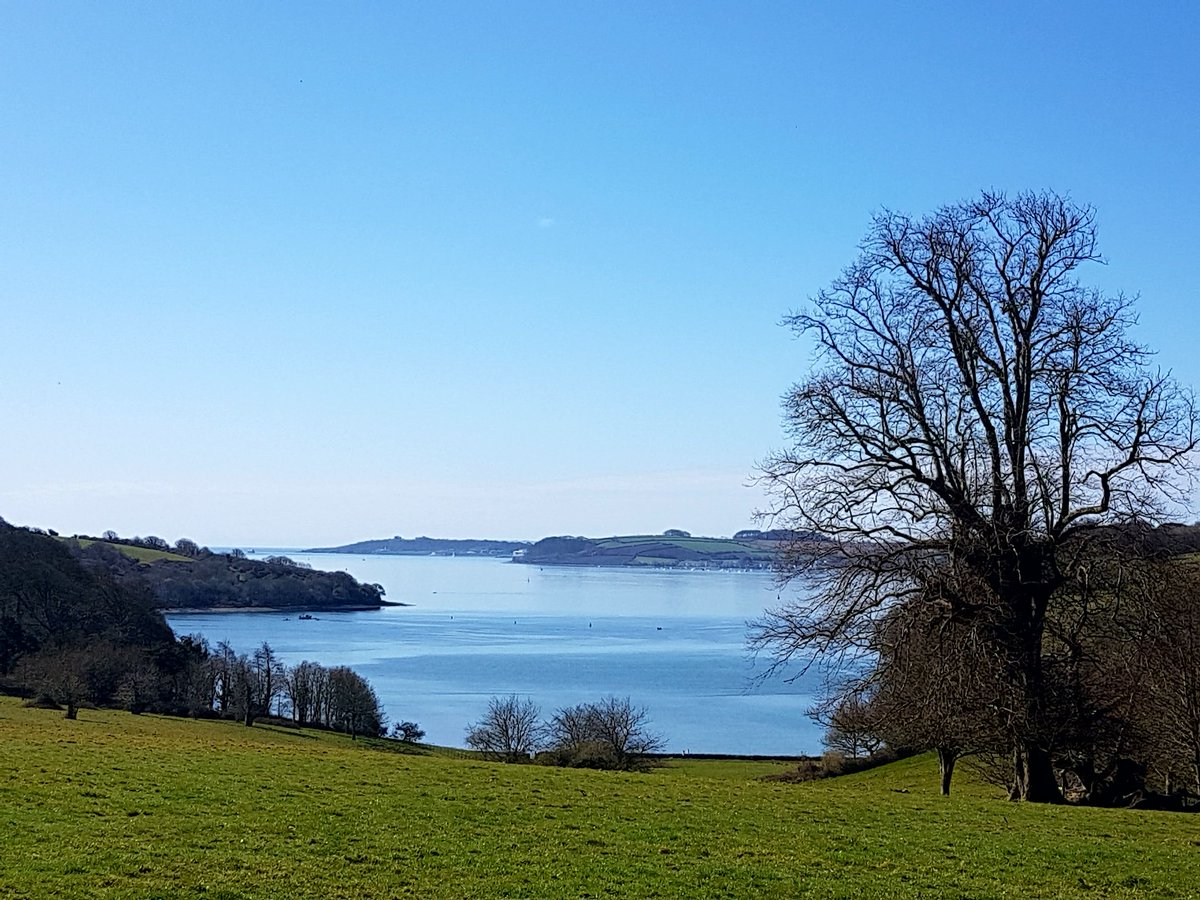 Emma Paull tweet media