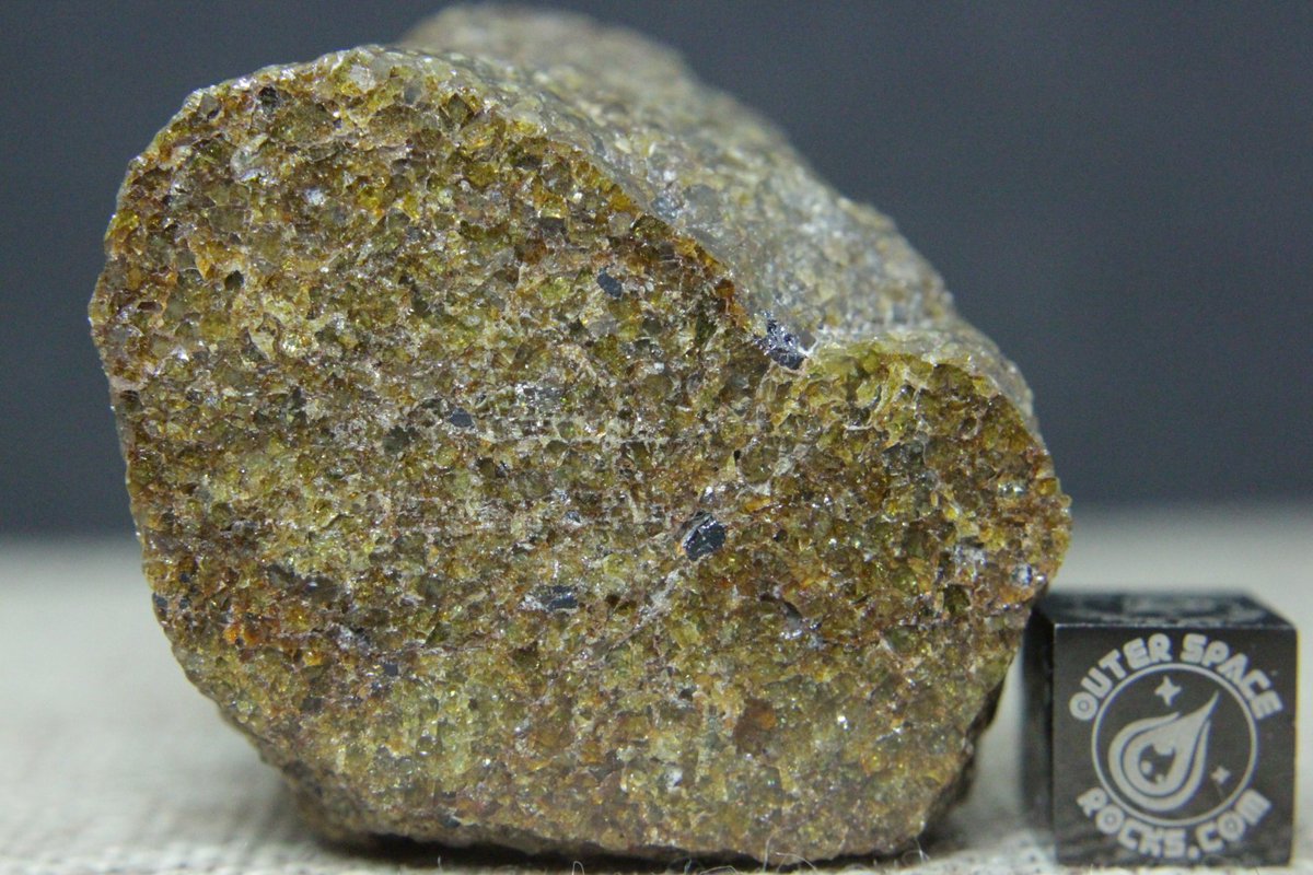OuterSpaceRocks's tweet photo. Introducing a sensational new #discovery from the great Erg Chech #dunes of the #Algerian #Sahara Desert. I would like to celebrate the newest member of the #HED #Diogenite #Meteorite class, Officially recognized as ( ERG CHECH 001 ) #OuterSpaceRocks https://t.co/ZS8o8dkruZ https://t.co/c8YgdsxfzO