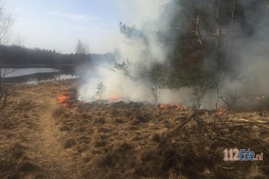 🚨 Brandweer Harskamp blust natuurbrand bij Loofles in #Kootwijk 112.press/QNrpMJ 112Ede https://t.co/RK30e8gYbd