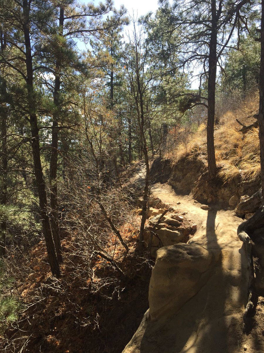 MySwimPro's tweet image. Starting the morning off right on day 1 of #SwimBiz! 🏔