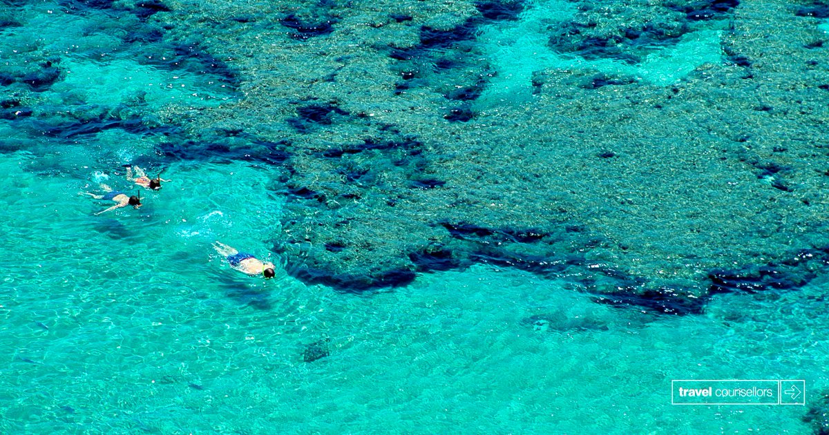 Makychang's tweet photo. #snorkeling #wearetravelcounsellors #Travel #everyonesworld https://t.co/p3d5vVmHrN