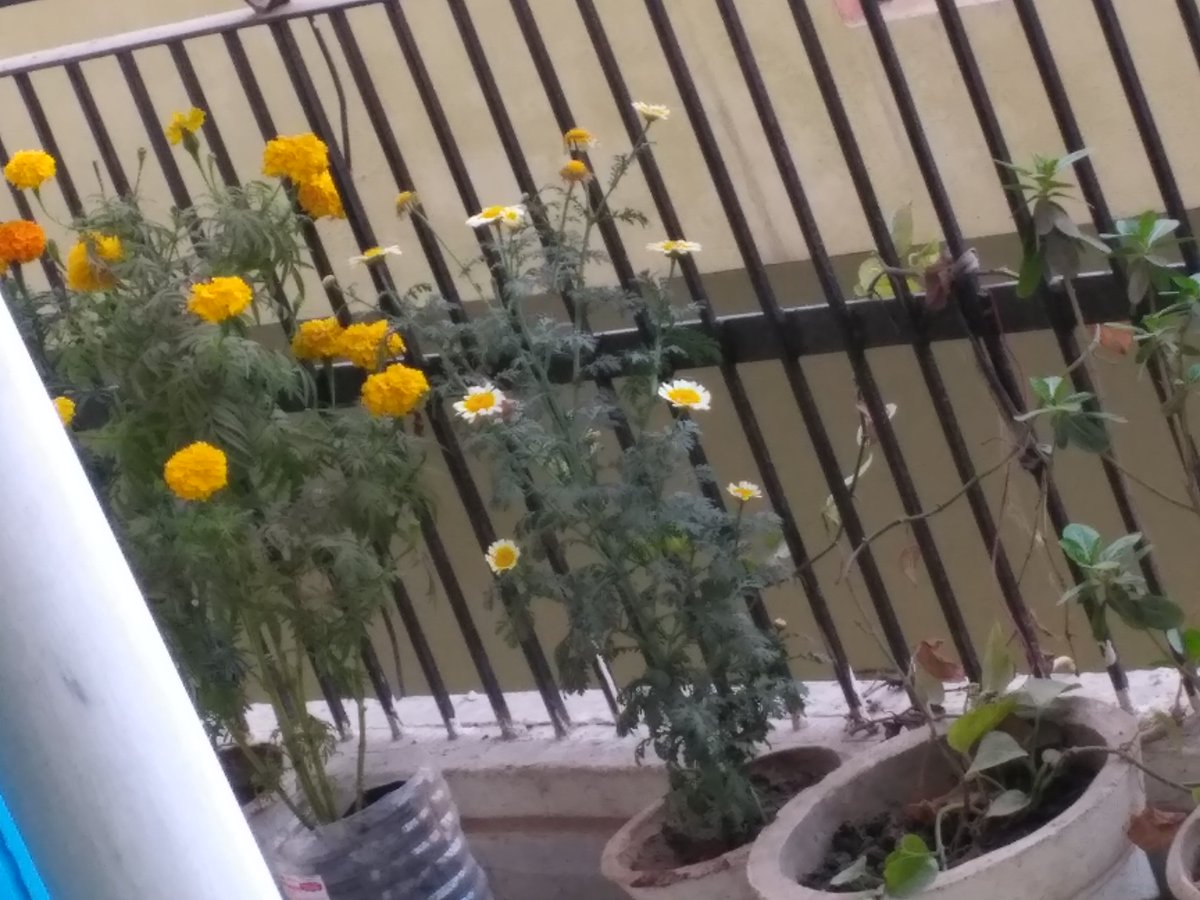 MohitSh39917136's tweet image. Have you seen our #WhitePaper If not yet, you should definitely check it out! You can do so by clicking on this link: youtube.com/watch?v=zSjLf9…
#ALAX #Blockchain #Crypto #MobileGaming #AndroidApps $ALX