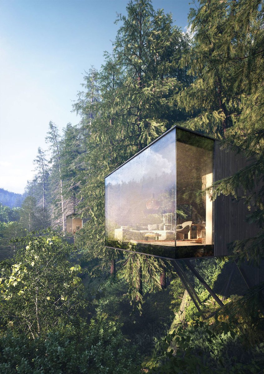 surfacecondos's tweet image. Amazing inspiration. If we were to design a tree house condo we would want it to look something like this.