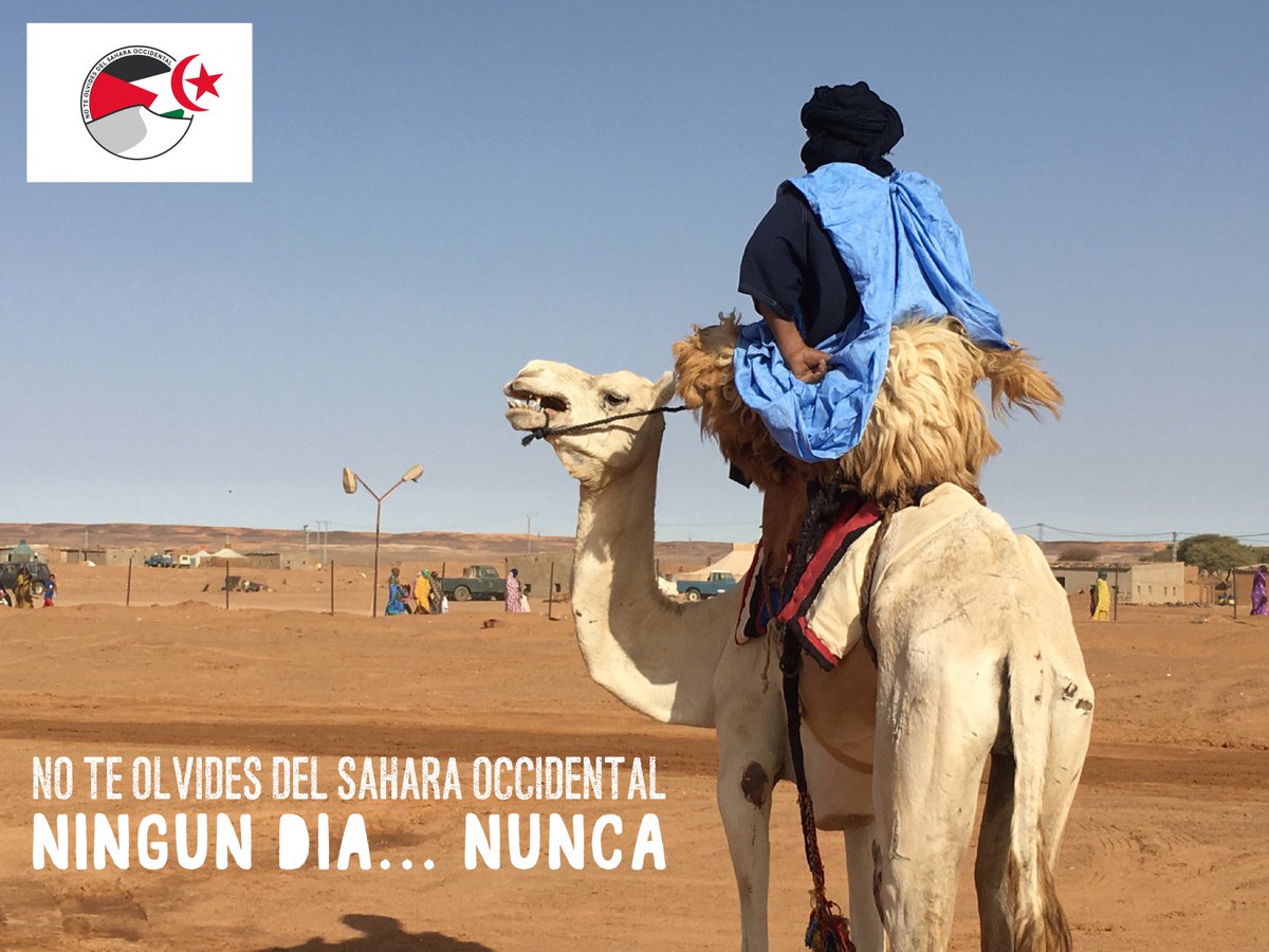 ¡El #Sahara Occidental es #saharaui y de los #saharauis!
NO a la ocupación militar por Marruecos de las zonas ocupadas del #SaharaOccidental #ActualidadSaharaui