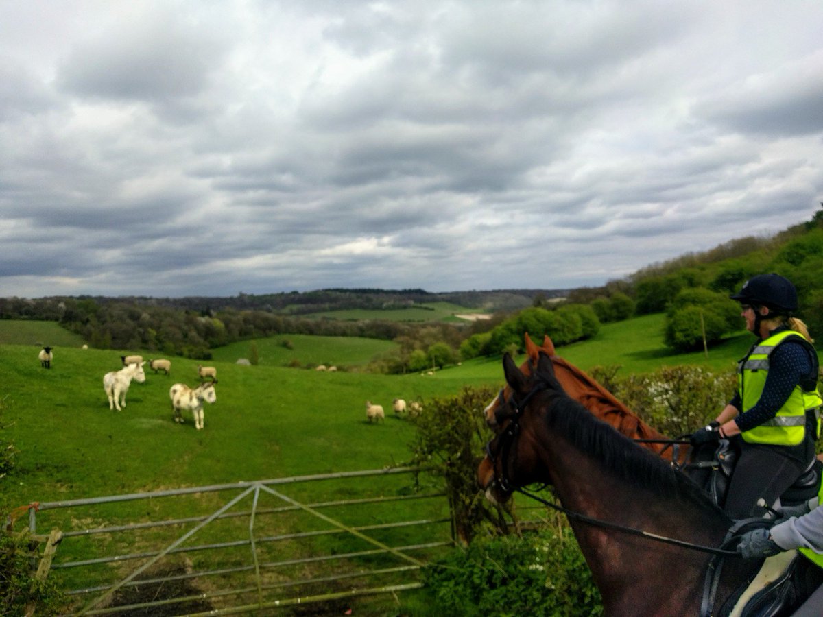 CholseyRiding's tweet photo. Private hacks on your own horse available this week @CholseyRiding , contact me to organise, £35 for one hour, £50 for 2 hours.  Fantastic countryside,  off road, chiltern hills.  #horsebloggers #horsehour #horsebackisbetter #thedifferenceisourhorses #chilterns https://t.co/cOMFgCTrHk