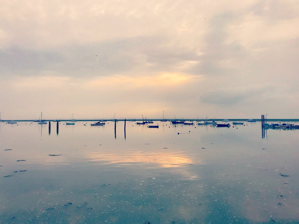 Nice calm week forecast ahead, come and join me for a 20 minute at just £3 per person #ladygraceboattrips #merseaisland #essex #halfterm