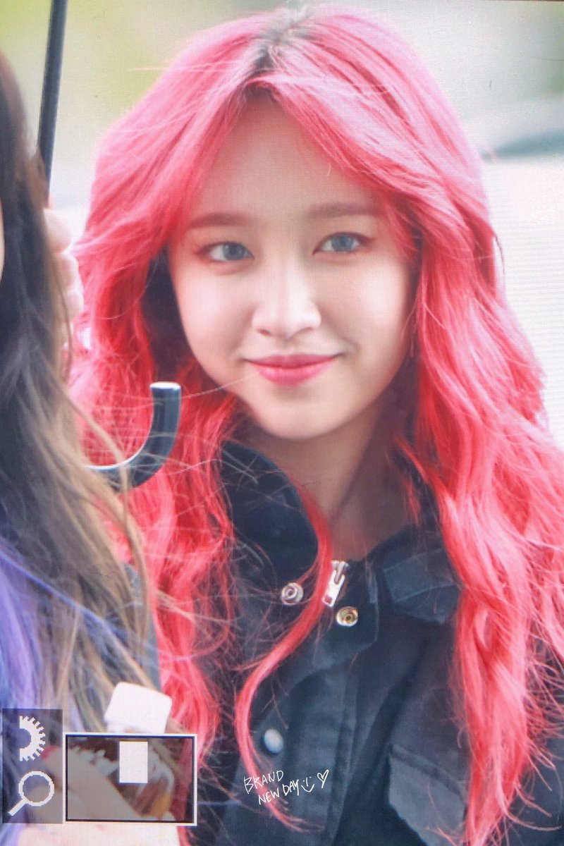 Hani pics tweet media