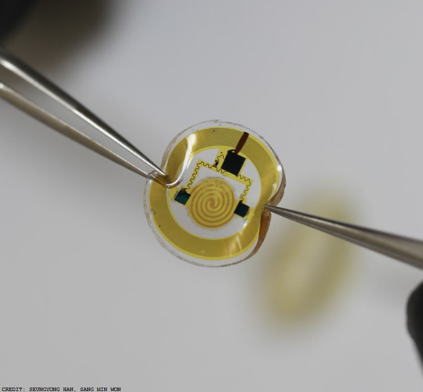 ScienceMagazine's tweet photo. In @ScienceTM: a new system of battery-free, wireless sensors could allow continuous monitoring of body temperature and pressure https://t.co/BuQY2gsfty https://t.co/FQ34mtTT8l