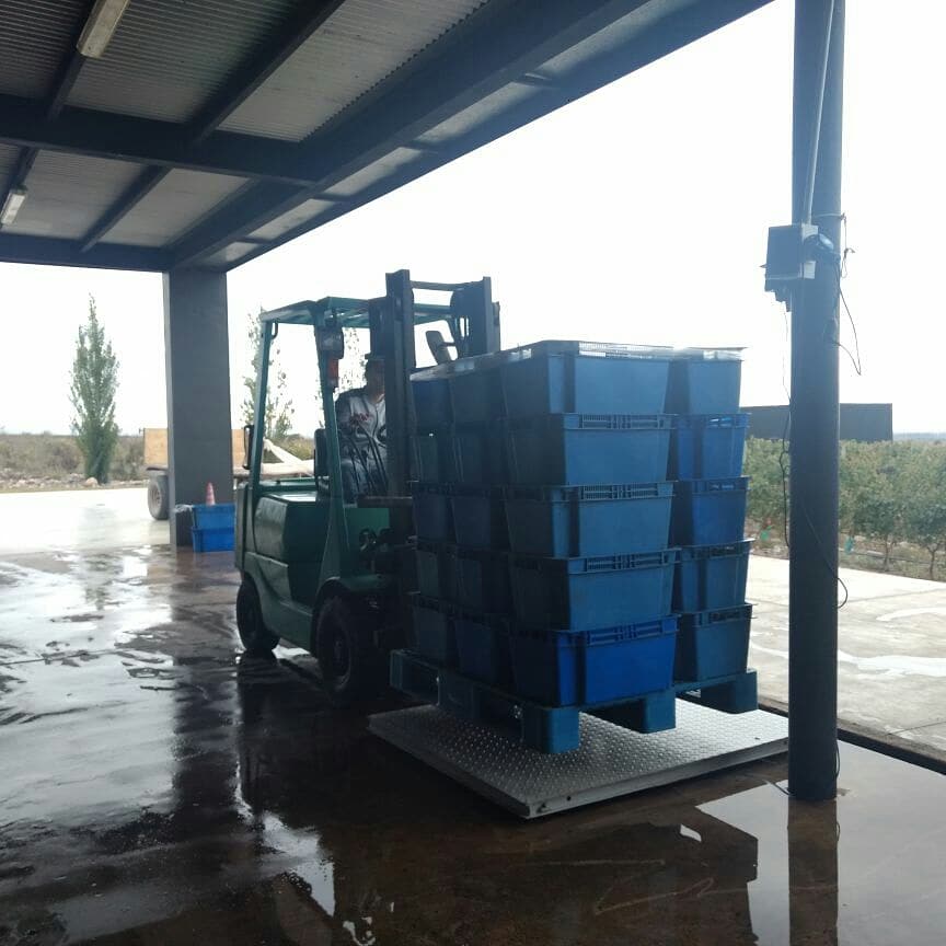 TheTintos's tweet image. Recepción de uvas 🍇 recién cosechadas ✂ en @BodegaCDS ➡ sólo en nuestro #WineTour 🍷 #UltraUco
💲 Consulte preço especial com desconto.
📧 info@mendoza-andes.com.

🍷 ULTRA UCO WINE TOUR
⚠#weareofficial EvyT Leg.15414.
⚠Não tome riscos: compre somente com agências oficiais.