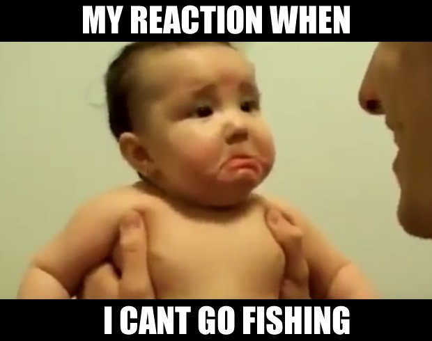 carpnbait's tweet photo. NOOOOOO!!!!! https://t.co/tfRQTqMgyH 🎣🎣🎣🎣🎣🎣#fishinglife #fishing #carp #angling #CARPology #carpfishing #crying https://t.co/oSi6wBUUE3