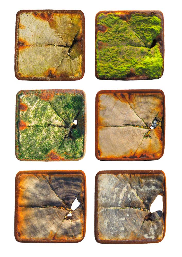 clifffart's tweet photo. The groynes on #Bexhill beach between Cooden Beach Hotel and Groyne 121 to the east side of Galley Hill
#Waveworn - Fifteen Years in the Intertidal Zone #Photography
Now available to buy online at https://t.co/2qb2UnrduD https://t.co/ePCuOXs4tx