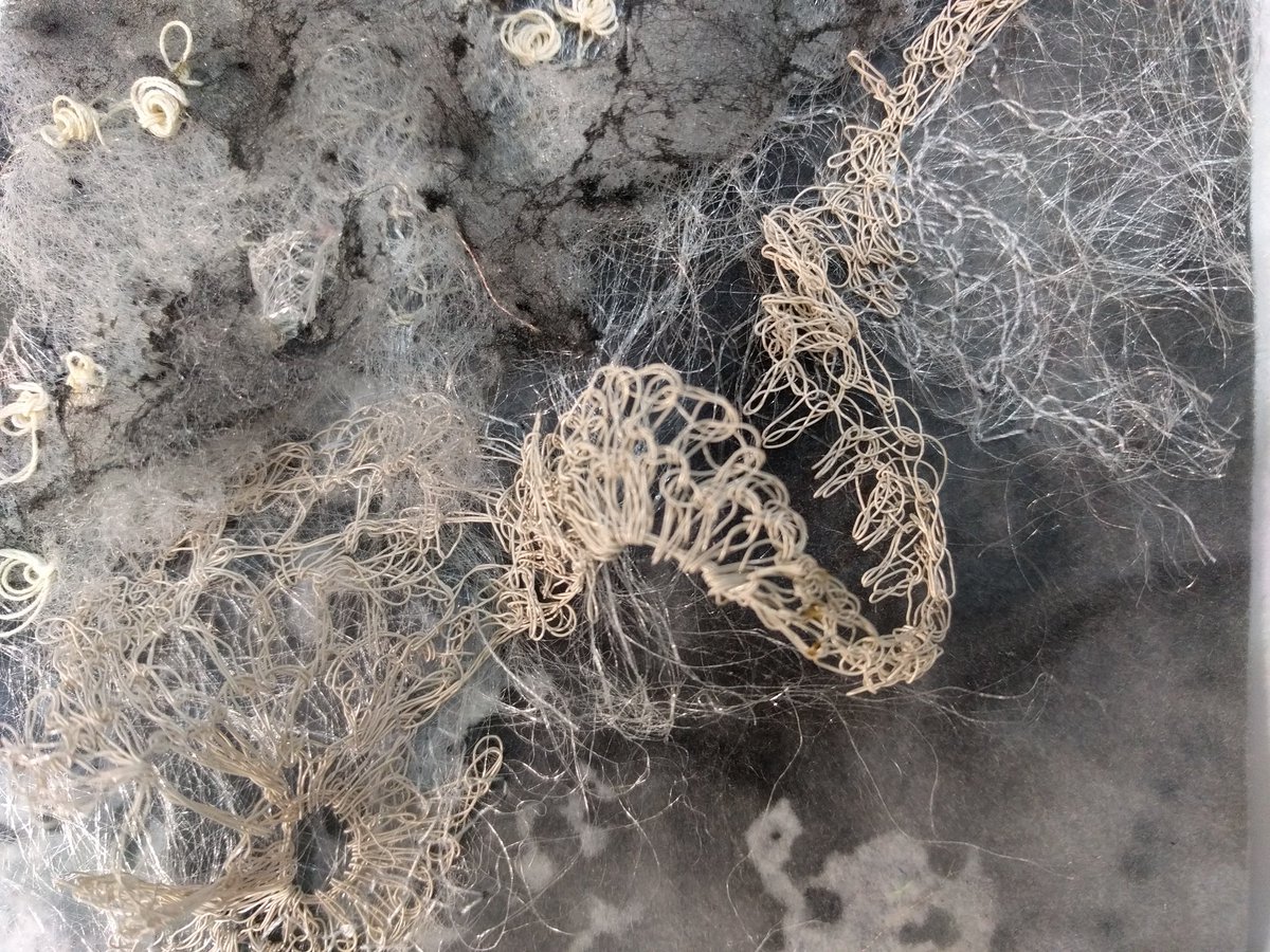 MarianJazmik's tweet photo. Working on small texture embroideries using my samples from previous pieces.#textileart #textiles #embroidery #embroideryart #becreative #texture #fungi #lichen #sample #fibreart #exerimental #textile https://t.co/QO1cjkeOjV