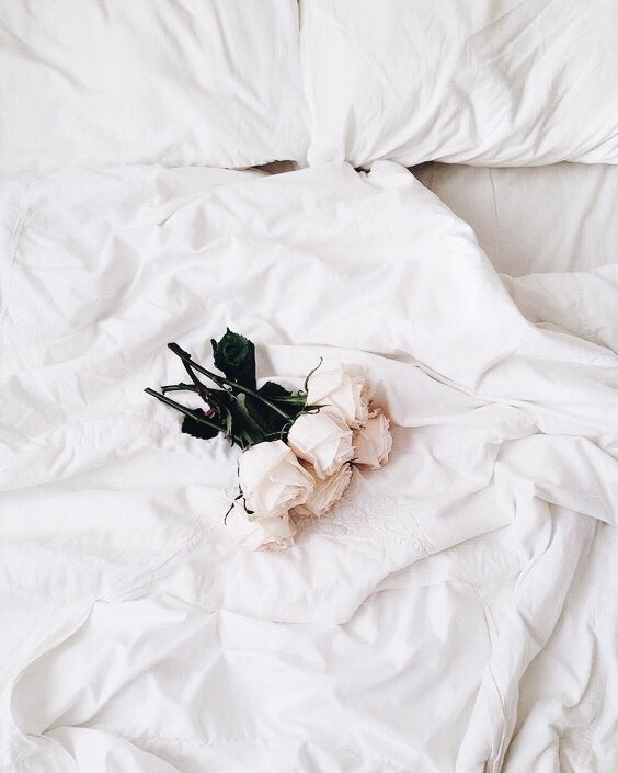dallaesthetic's tweet photo. https://t.co/lf89VXYW19