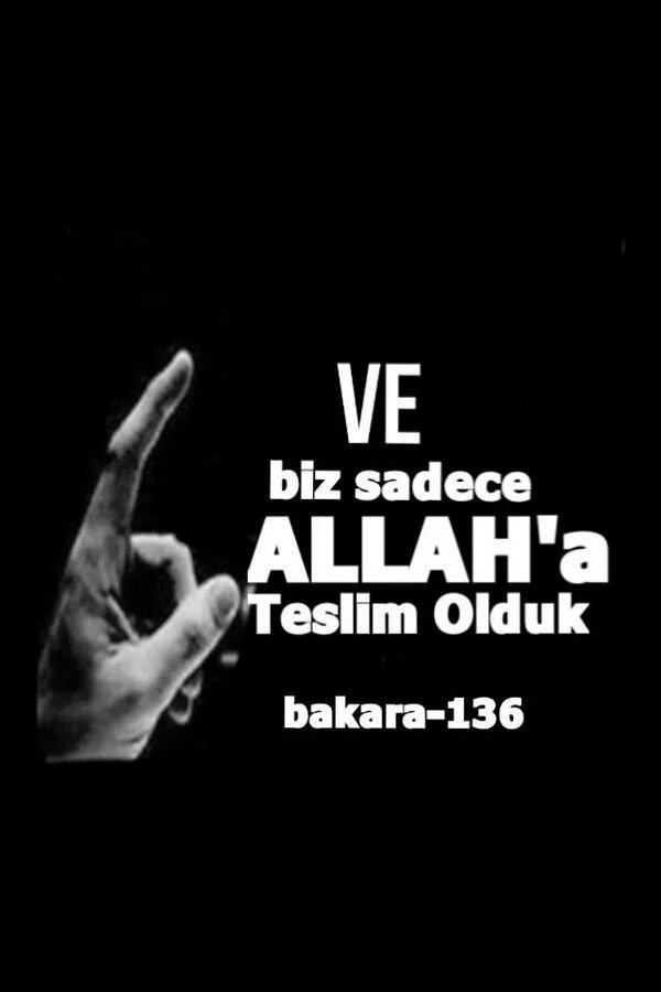 ARSEVER571's tweet photo. Artık sabrımızın bir sınırı olduğunu öğrensinler

#islamaHakaretDerhalSuçOlsun https://t.co/jXKB6Xz1fl
