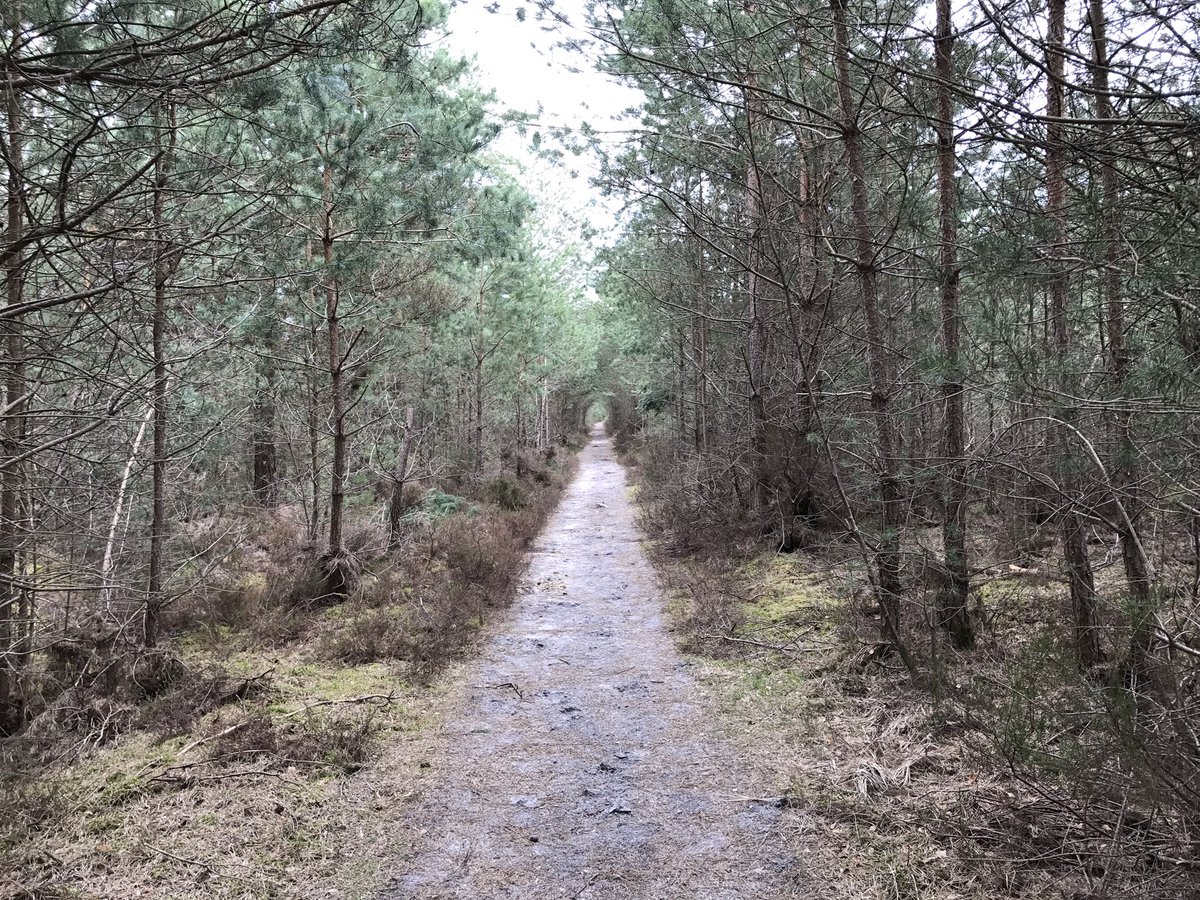 Grand soleil pour l'avant dernière étape du #GR1 😁🌲#randonnee 

Étape 24 : 33,2 km / 5h18
De Gazeran à Méré