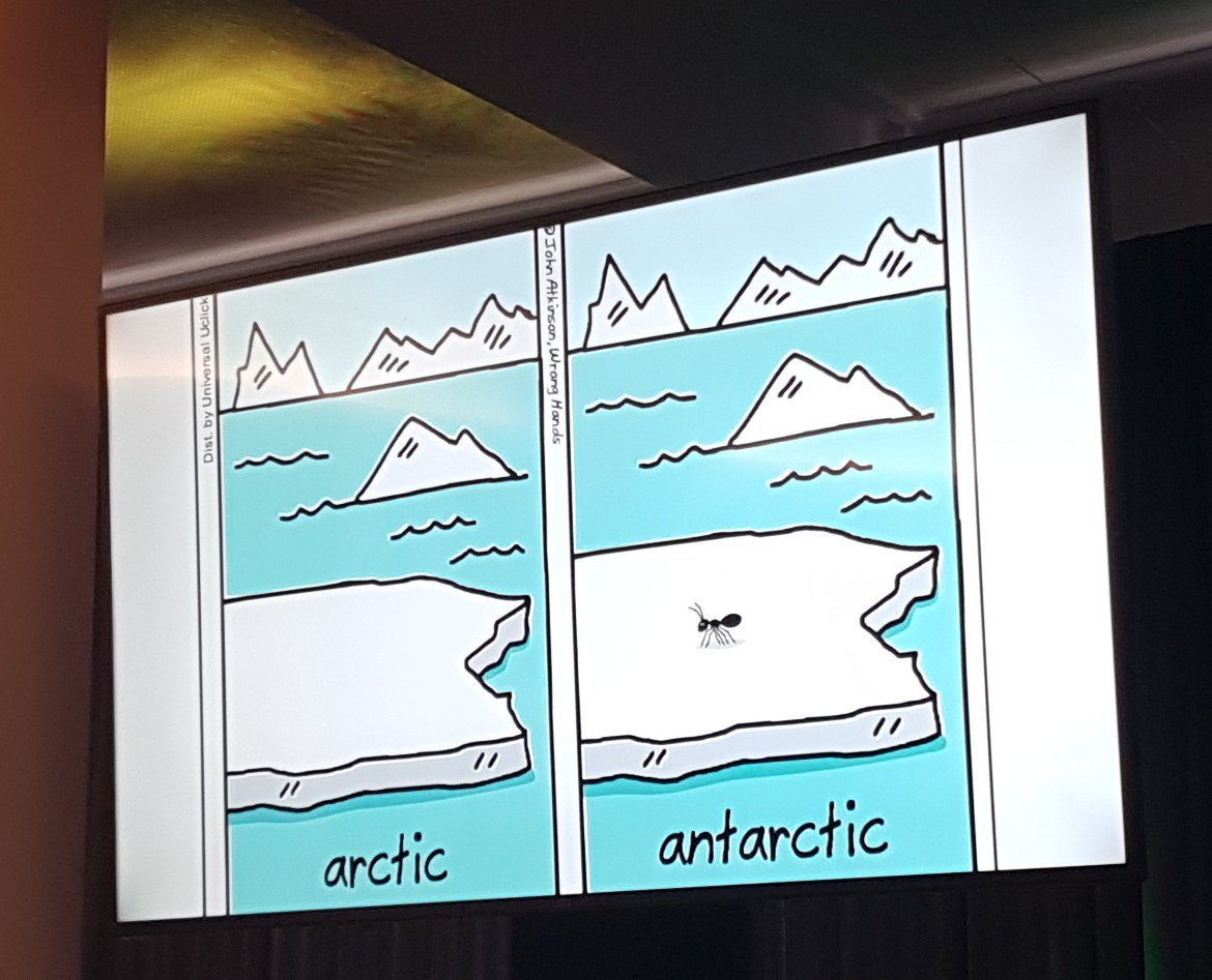 martinkrafft's tweet photo. #BugPuns by @anteater_nz at #newfrontiers https://t.co/EteNB1ogaE
