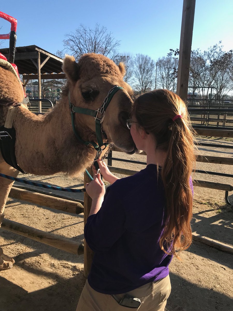 UTCMoxie's tweet photo. Grayson Stem, #32. An OG team member, Grayson initially cut then transitioned to handler last year. She reliably makes space and has excellent field awareness - probs from her 11 years of playing soccer (before realizing Ultimate is the superior sport) #MeetTheMoxies https://t.co/aMUH2Um6i8