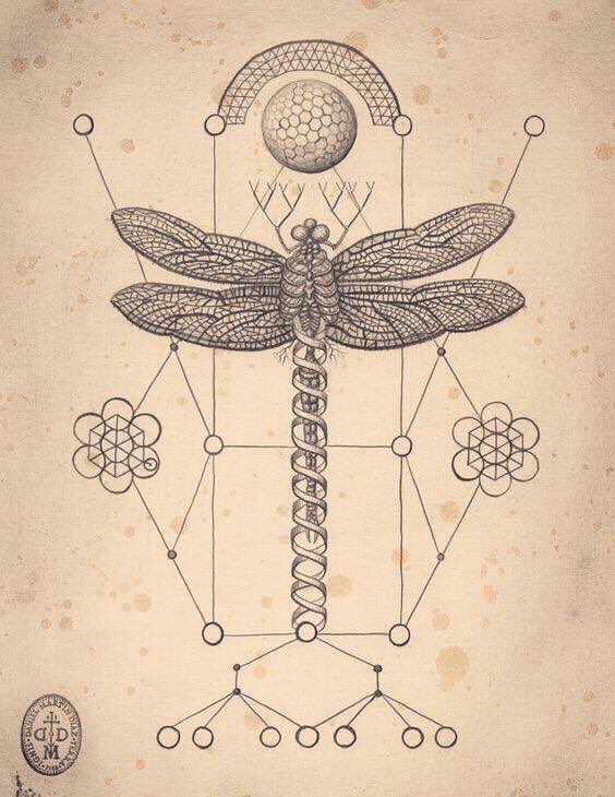 ilimita_digital's tweet image. #Geometría #Libela #Equilibrio #Equal #VR #VISION