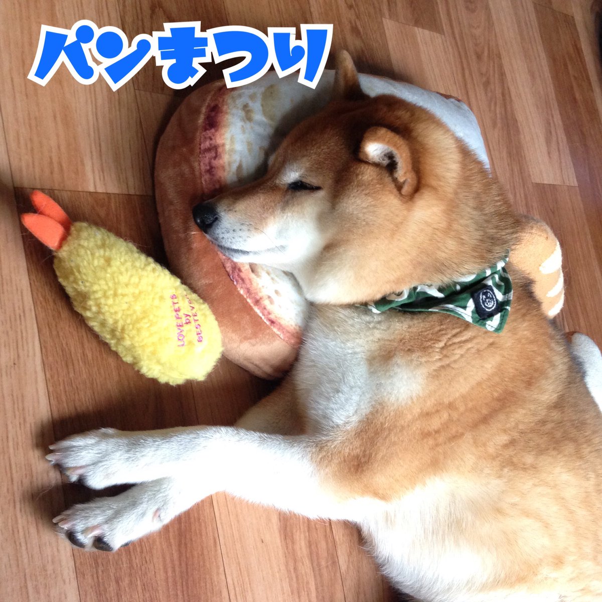 もちもち食パンクッション もちもち食パンクッション