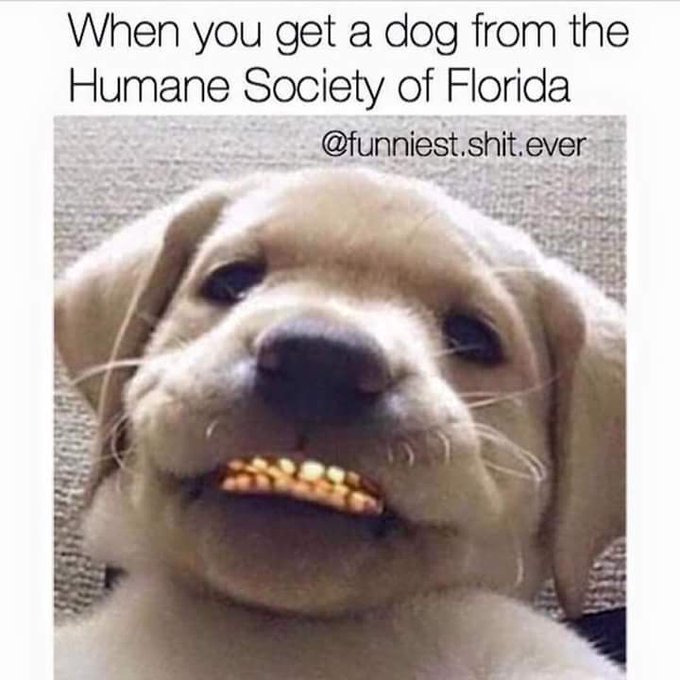 @sarahthemoose  https://t.co/e7wlPNs6Rg<a class="tags" target="_blank" title="On Twitter" href="/?out=eyJ0eXAiOiJKV1QiLCJhbGciOiJIUzUxMiJ9.eyJpYXQiOjE3MjQ4MjQwMzUsImlzcyI6InR3cG9ybnN0YXJzLmNvbSIsIm5iZiI6MTcyNDgyNDAzNSwiZXhwIjoxNzU2MzYwMDM1LCJyZWRpcmVjdF91cmwiOiJodHRwczovL3R3aXR0ZXIuY29tL3NhcmFodGhlbW9vc2UifQ.TWJn8Qs8iQwCjRL5Tc0wRm3EBwivlHoWLr-U4mjsgrtYiS6FNPx7GVkvHu_jXBsqYkVY_oRNExYHItWDdRIrcQ">@sarahthemoose</a><a href="/tag/mytwitteranniversary"class="tags"><span>#mytwitteranniversary</span></a>