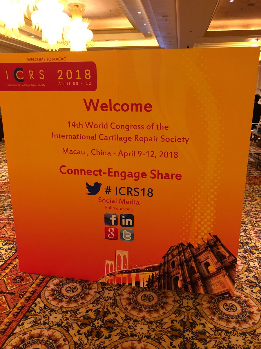 sarisnl's tweet photo. Ready for an exciting week with all the @CartilageRepair @mayoclinicsport @DrKrych @LucienneVonk @josmalda @RMUtrecht making progress #ICRS2018 https://t.co/Lm9a2x3hix