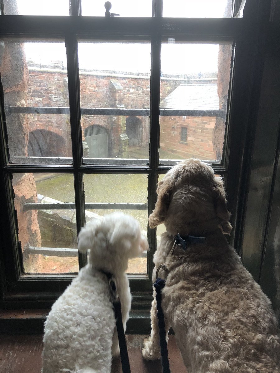 Ted Dale tweet media