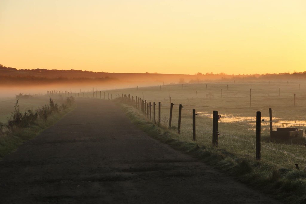 TriffidDay's tweet photo. #planningforpeople #saveourgreenbelt #loveRainford #sundaymotivation https://t.co/CrBAWrb31s