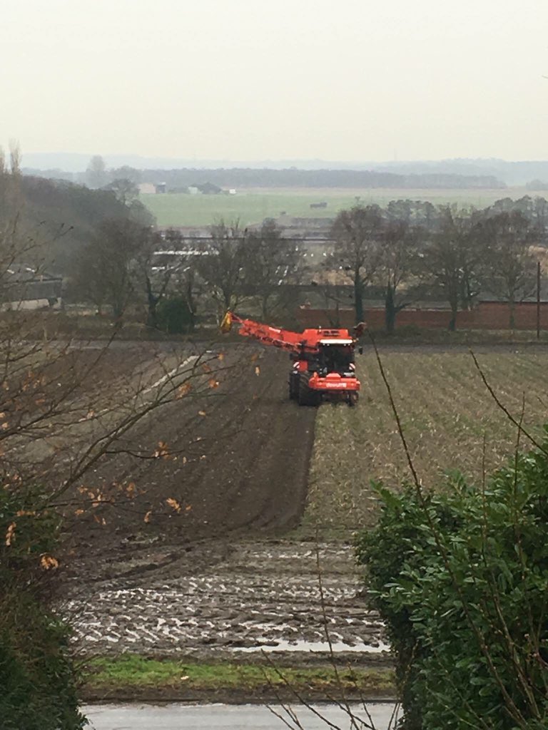 TriffidDay's tweet photo. #planningforpeople #saveourgreenbelt #loveRainford #sundaymotivation https://t.co/CrBAWrb31s