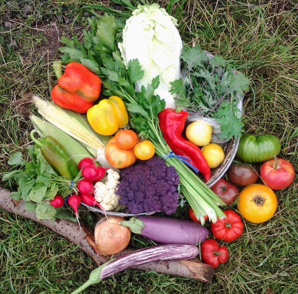 NW Kids Magazine tweet media