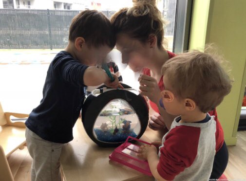 Natfab1's tweet photo. Les enfants prennent soin des nouveaux arrivés #nourrir #nettoyer #laver  #grandir #MicroCrècheDeThionville #crècheDeObernai @aureliewirtz67 @celia1089 @Creches_LPCR https://t.co/feKqQOKQKE