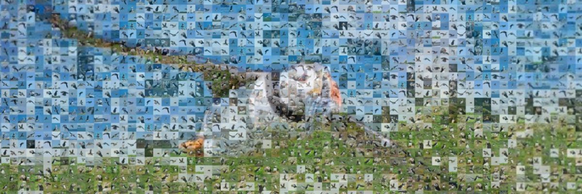 martinBirdLife's tweet photo. The unknown: my reflections on #RSPBweekend https://t.co/GEmKSVsYVC with thanks to @drredshank @Ellingbry @skyeandfrisa @Captaincoquet @redkingcraw and @Natures_Voice members https://t.co/gW5WbcvMVf