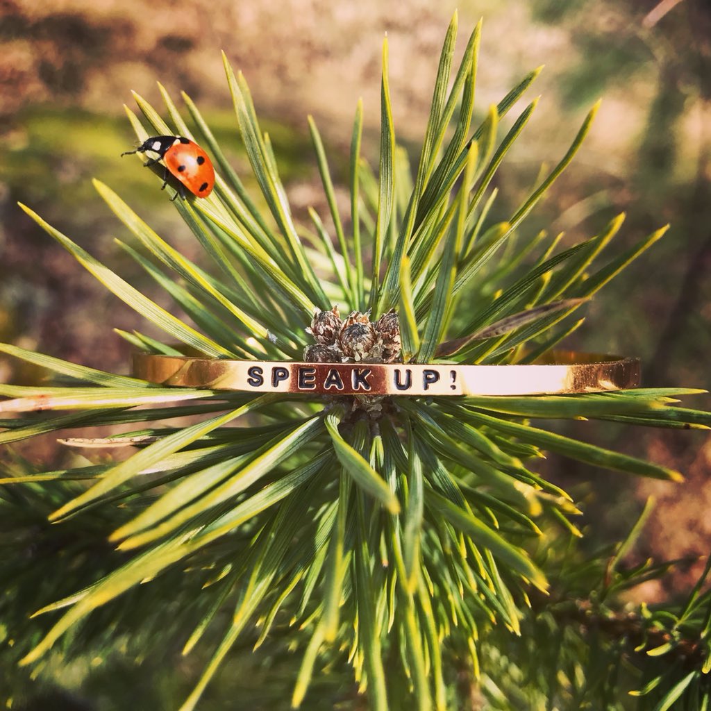 🐞Speak UP! 🐞  #speakup #april #sun #insects #againstbullying #ladybug #bullying #love #bracelet #gospeakup #ifefinals18
