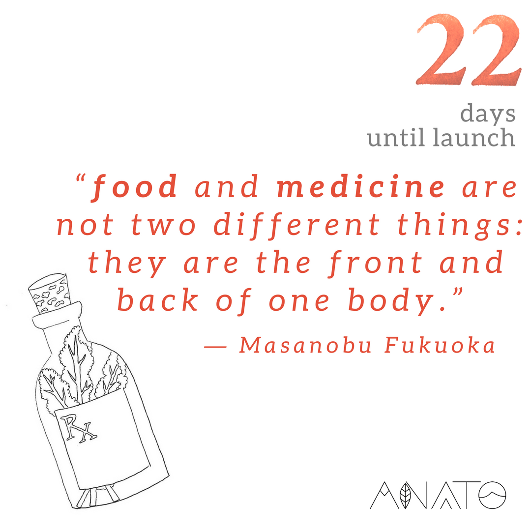 LifeAnato's tweet photo. Be mindful of what you eat.  #Agroforestry #treestoskin #Regenerative #regenerativeAG #carbonfarming #sustainablesolutions #ZeroWaste #plasticfree #zerowastevoyage #zerowastevoyager #sustainableliving  #sustainablelifestyle #ecofriendly #ecofriendlyproducts #HealthyEating https://t.co/fGBFdykfAn
