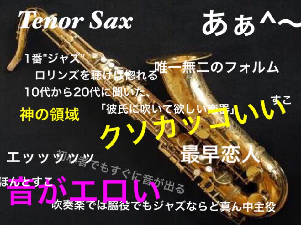 ここで新入生の皆さんのために代表的な楽器を一部紹介しておきますね！