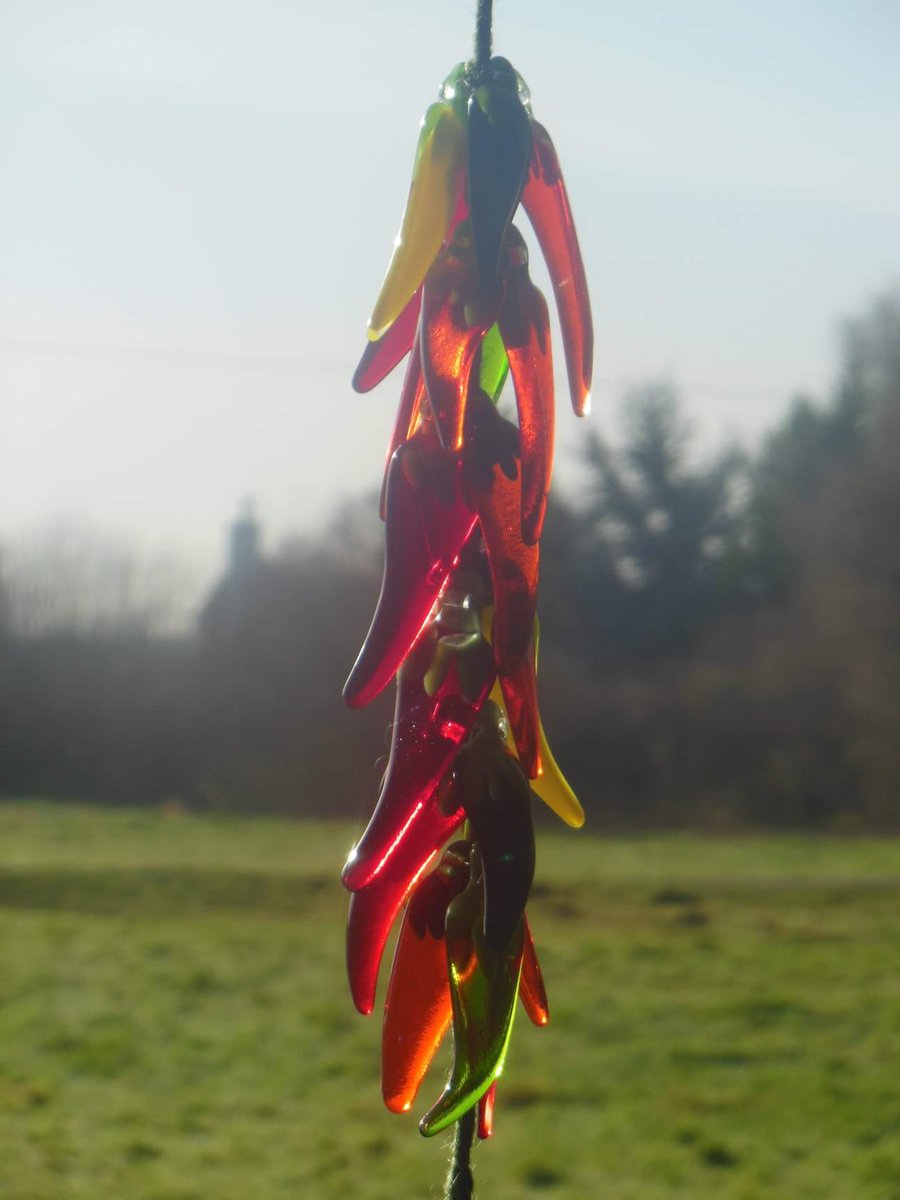 KerswellCreati1's tweet photo. #kerswellcreations #fusedglass #art #bespoke #kilnfired #Worcestershire #craft #handmade #glassfusing #glassart #frit #system96 #colourful #suncatcher #artist #gallery #studio #facebook #Etsy #eBay #chillies #handmadehour https://t.co/jA0qmW12Zn