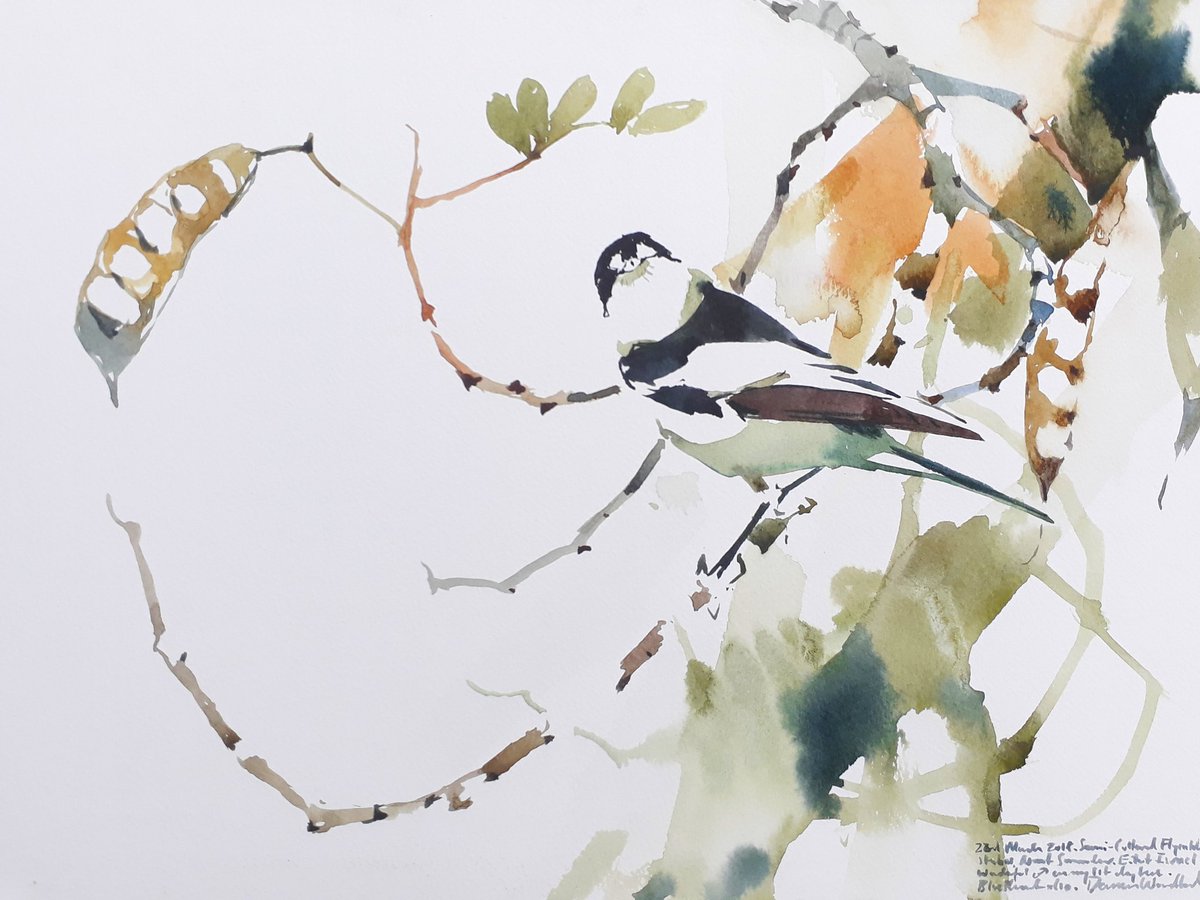 DarrenNWoodhead's tweet photo. Semi-collared Flycatcher study, Eilat another 'field watercolour' from a v special time spent #cotf2018, raising loads!! :-) @BirdLifeEurope @birdlife_me @BirdLife_Malta @BirdLife_News @ZEISSBirding @zeissbirding_us @RareBirdAlertUK @birdguides  @ginbeza #DrawaPictureofaBirdDay https://t.co/boEUQwE06n
