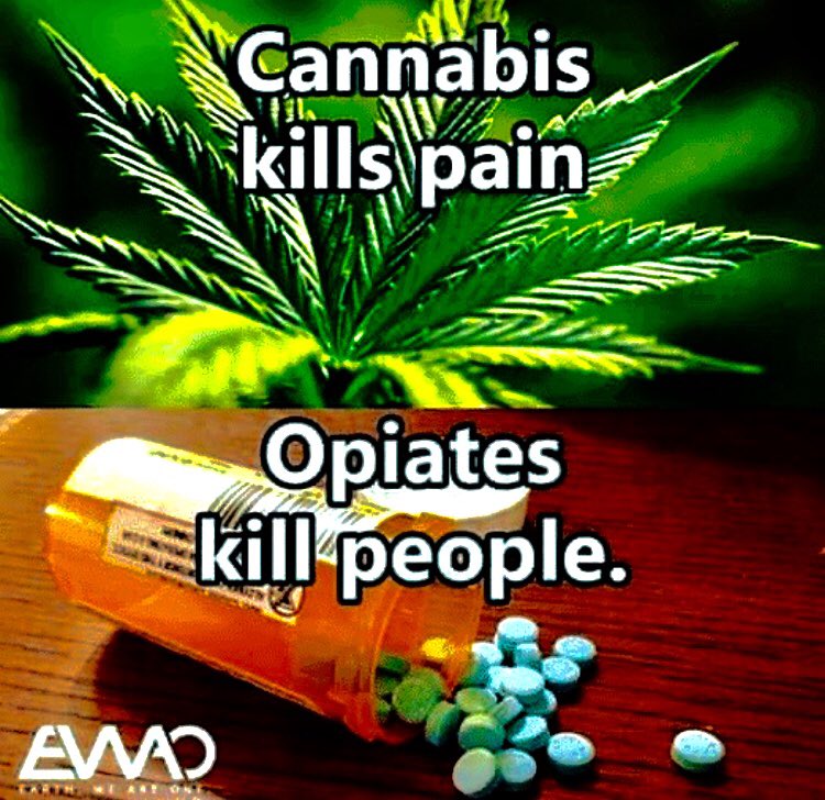 NorCalStoner420's tweet image. #PotNotPills!!...
