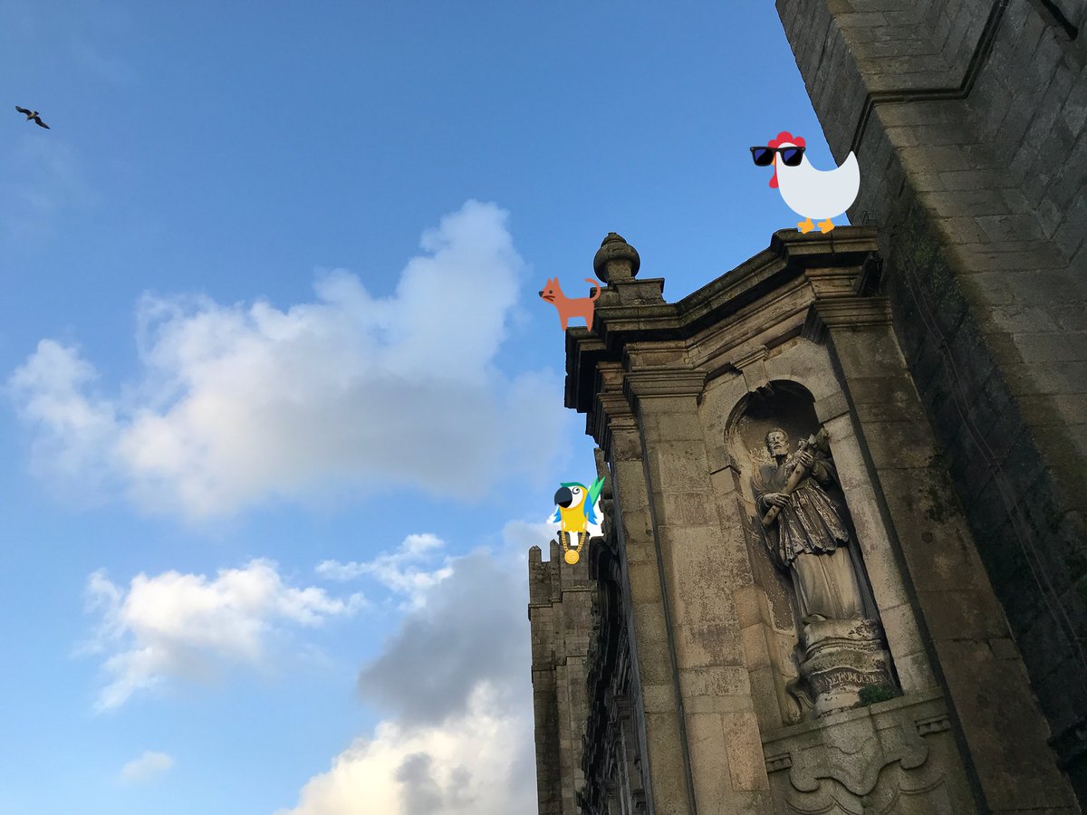 Chicken says to the cat don’t jump. The cat says I always land on my feet