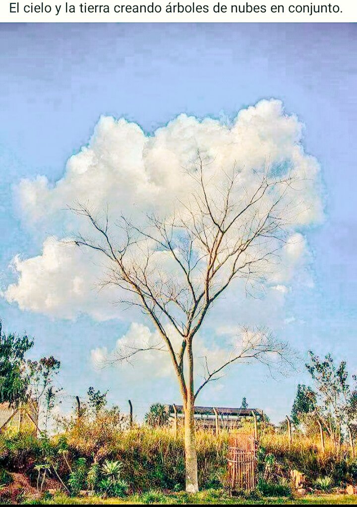 Karycaamal1's tweet photo. Hermoso 😍 https://t.co/kRtWGj1ut7