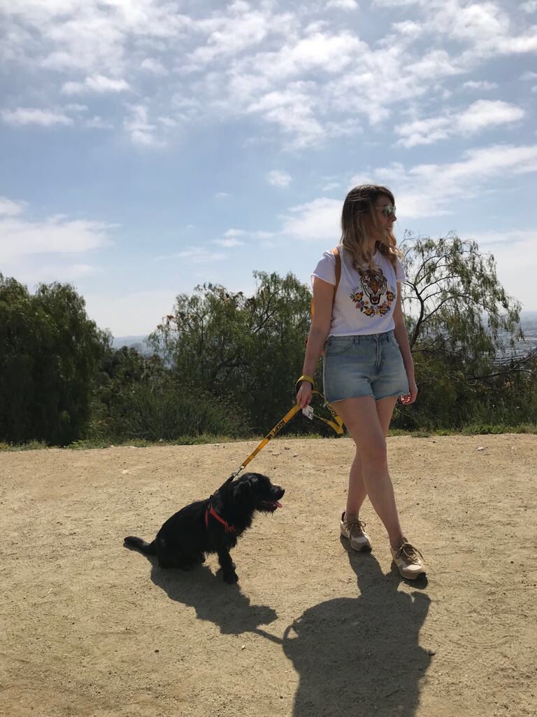 ohhihome's tweet photo. I’ve been excited for weeks about going on @freeanimaldoctor #fadhike to help dogs that need adopted/to raise money for treatments in LA and it did not disappoint. Our pup for the day was Harry (Houdini) who’s a ball of energy 🐶❤️ https://t.co/tmD8p4ctGO https://t.co/vymNEsNUHJ