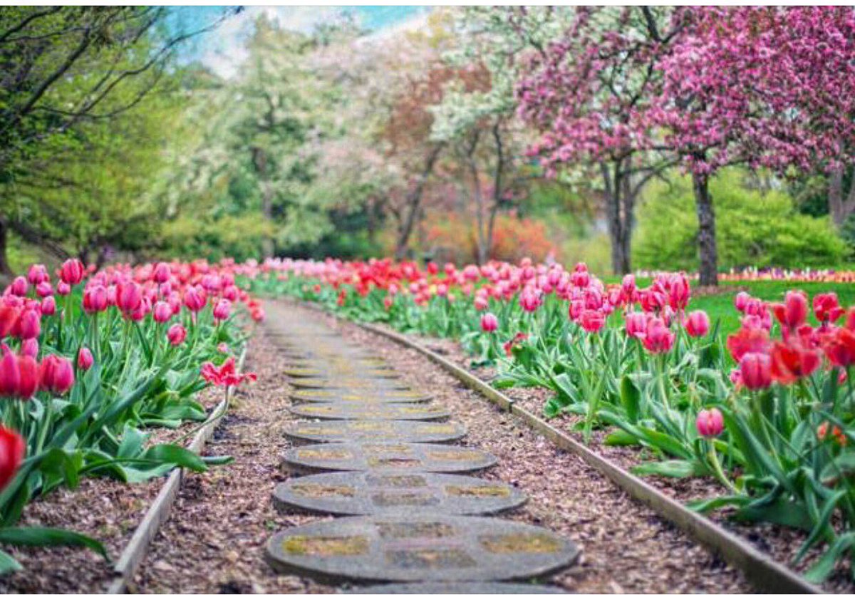 pamadkisson's tweet photo. Click here to see why you should buy your first home in the spring. Let us guide you on road to home ownership with these 6 tips. https://t.co/uOanl8NQ4M  #teamepre #santamariarealestate #orcuttrealestate. Follow: Era Polly Real Estate on Facebook https://t.co/4RZbdccSUO