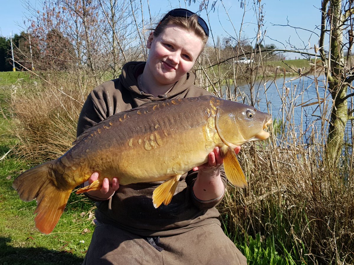 AabbiieeHo's tweet photo. Recent fishing session left me with 4 beautiful fish. Biggest weighing 21lb 10oz @AbilityTackle @CoreBaits_uk  @Leads_2_Go #thisgirlcan  #fishon #fishing #fishing2018 #like4like #foxinternational #fishingwoman #commoncarp #mirrorcarp #badenhall #lovemylife #nightfishing https://t.co/QR9prbbpuD