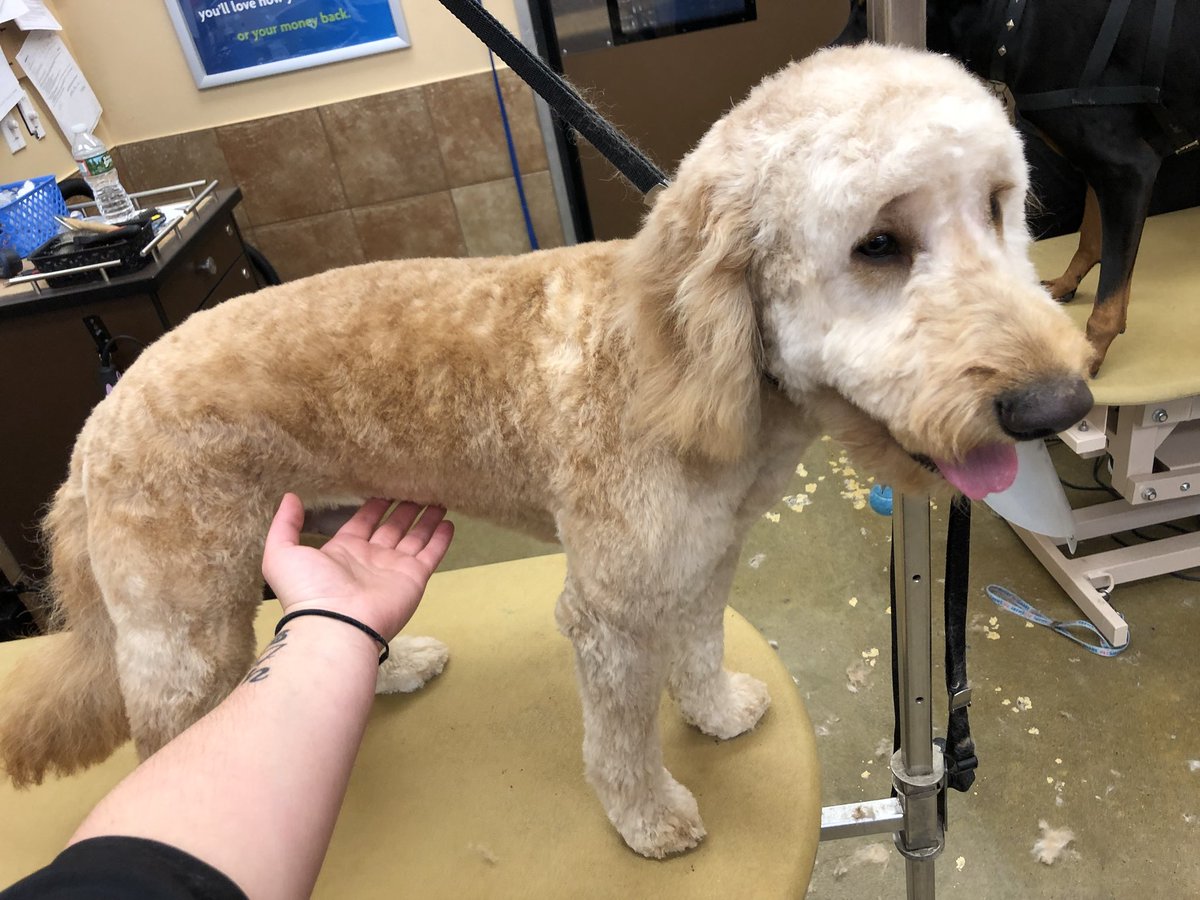 petsmart2480 tweet media