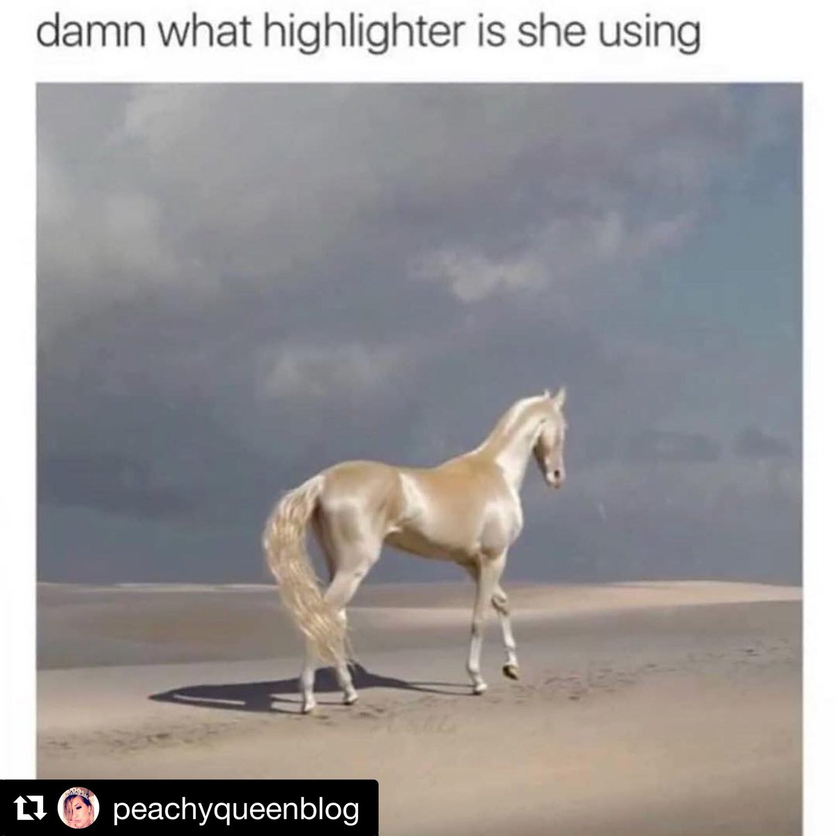 MLB_BOX's tweet image. Who would like to see a highlighter in one of our upcoming boxes? ✨✨😍❤️                                                       Photo credit : @peachqueenblog 📸 #highlighter #highlight #highlightonfleek #makeup #beauty #makeupbox #MakeupAddict #makeupmafia #subscriptionbeauty